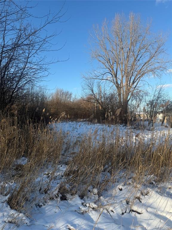 Sublot 41 Charles, Clinton Twp, MI 48035 — Photo 3