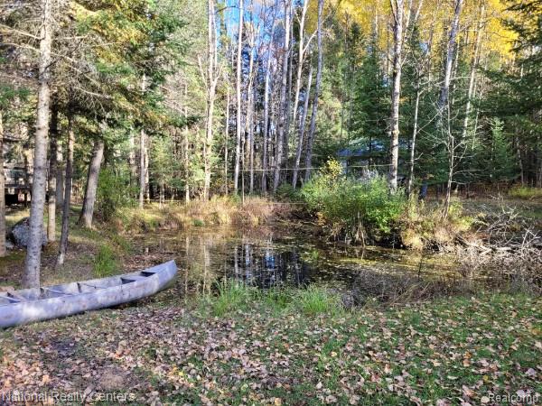 8109 M 55, Whittemore, MI 48770 — Photo 12