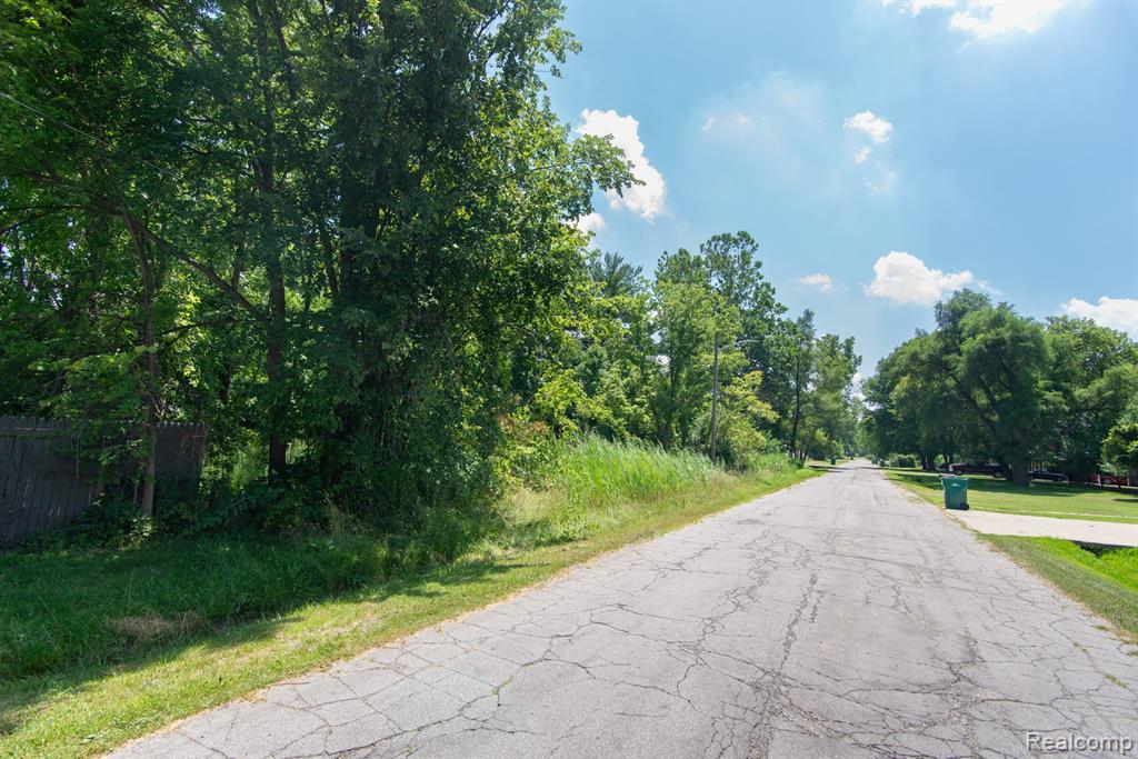 Lot 107 Hollywood, Romulus, MI 48174 — Photo 3