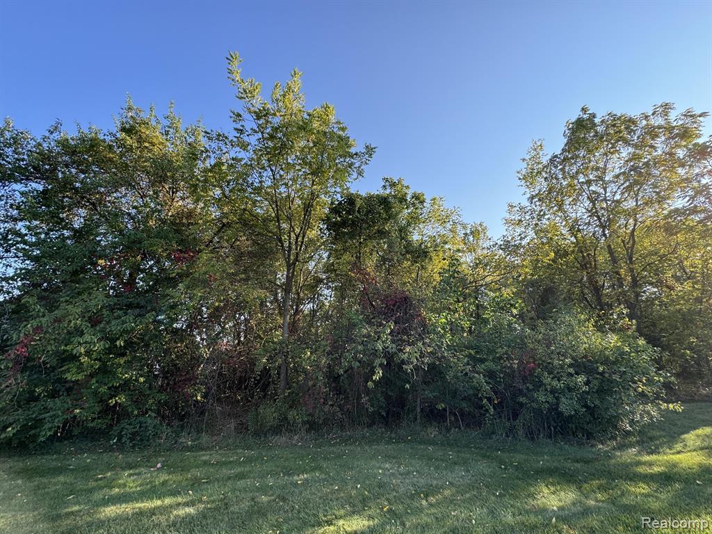 2485 Waters Road - Photo 5