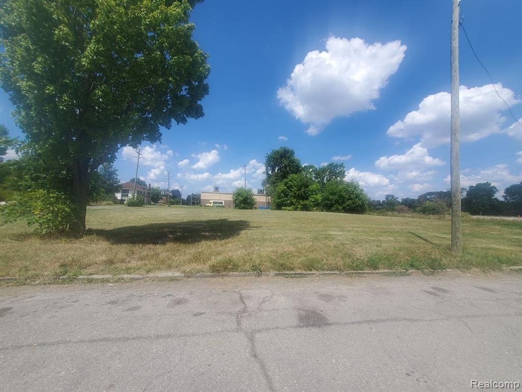 11534 WOODROW WILSON Street, Detroit, MI 48206 — Photo 2