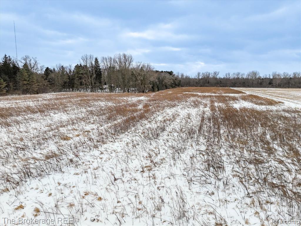 S Gera Rd, Birch Run, MI 48415 — Photo 19