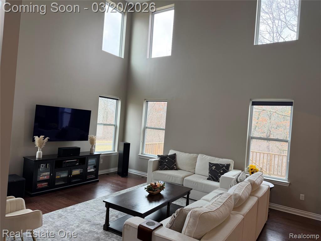 58206 Sunflower Circle N, New Hudson, MI 48165 — Photo 18