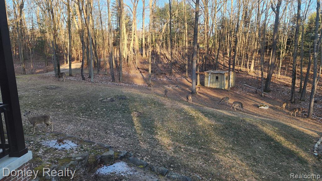 3239 HILLVIEW Drive, Metamora, MI 48455 — Photo 33