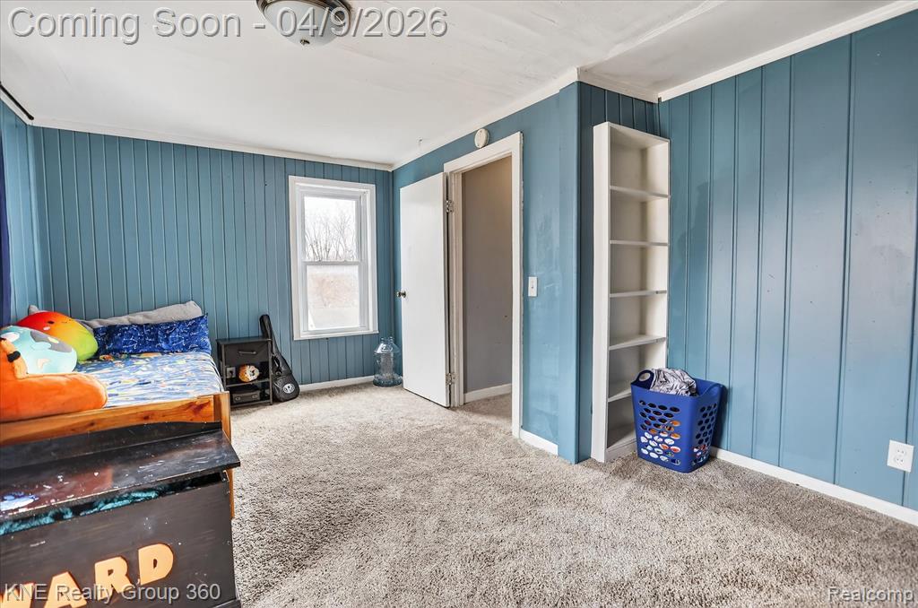 217 Maple Avenue, Alma, MI 48801 — Photo 20