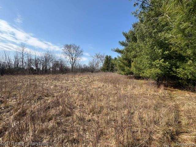 6919 Emmett Road, Brockway, MI 48097 — Photo 9