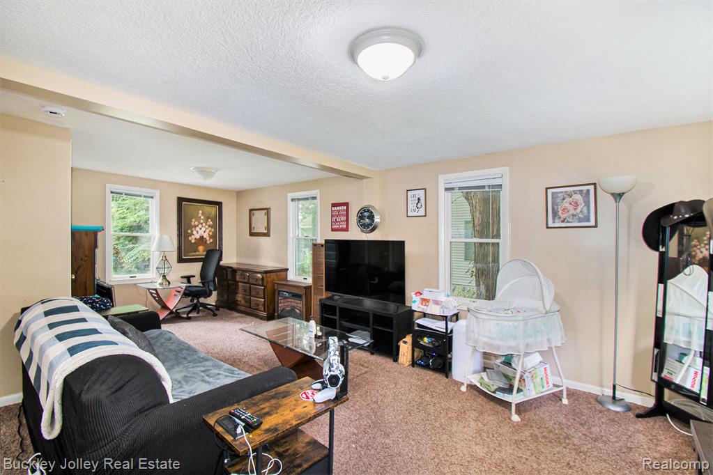 650 McCauley Street, Williamston, MI 48895 — Photo 4