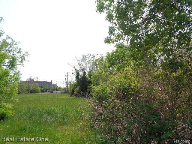 1051 CONCORD Street, Detroit, MI 48207 — Photo 10