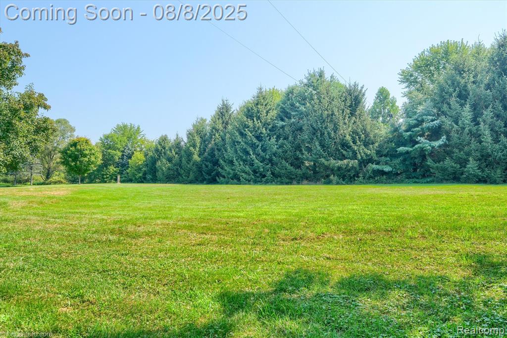 2784 S Blacks Corners Road, Imlay City, MI 48444 — Photo 73