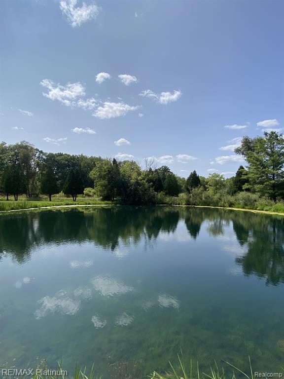 1215 S Bull Run Road, Fowlerville, MI 48836 — Photo 9