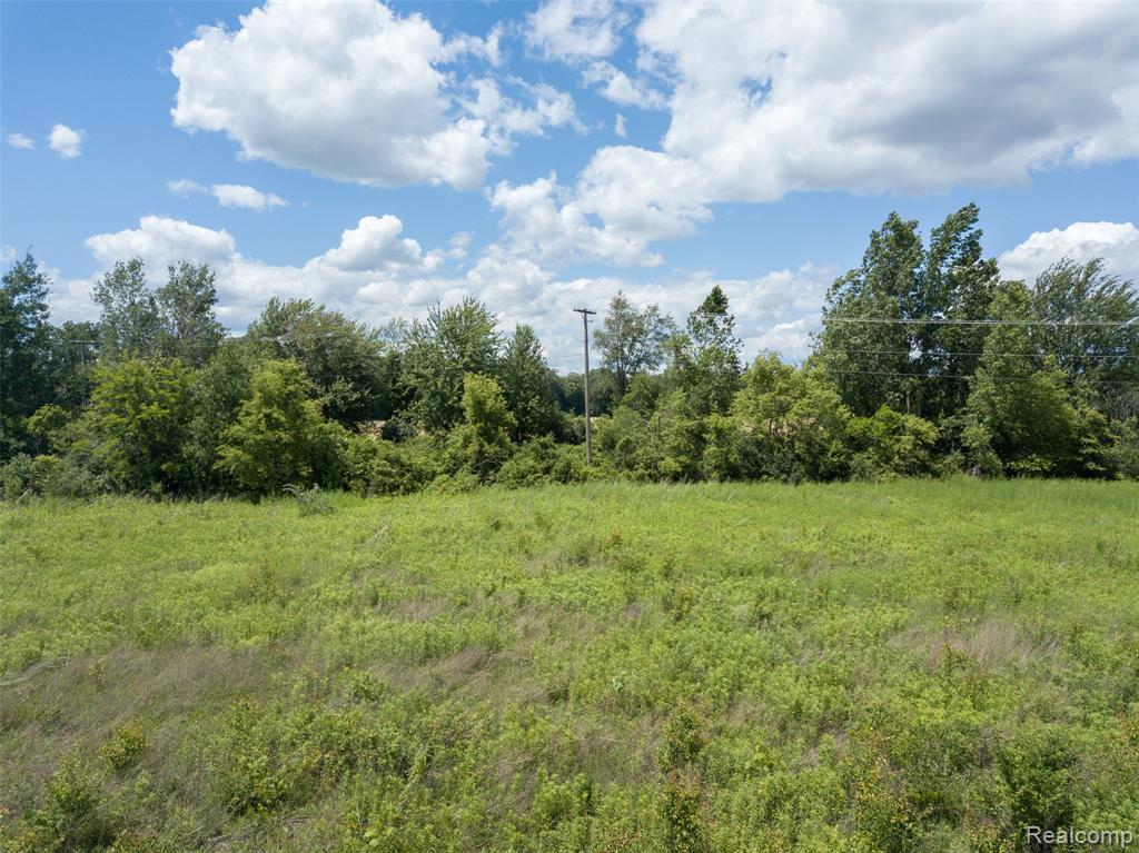 10467 Willis Road, Willis, MI 48191 — Photo 9