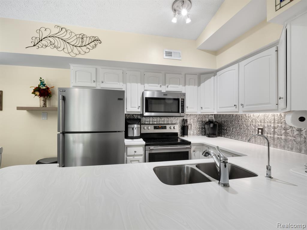 300 SPRING BROOKE Drive, 300, Brighton, MI 48116 — Photo 6