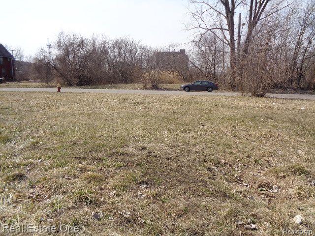 570 CONCORD Street, Detroit, MI 48207 — Photo 4