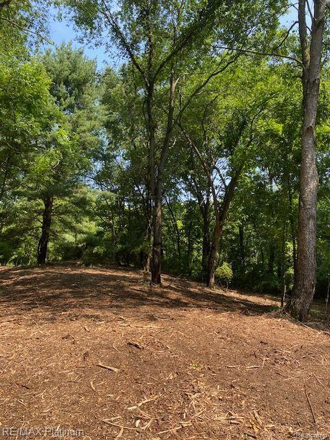6 Sleaford-Parcel 6 - 2.1 Acres Road, Howell, MI 48843 — Photo 13
