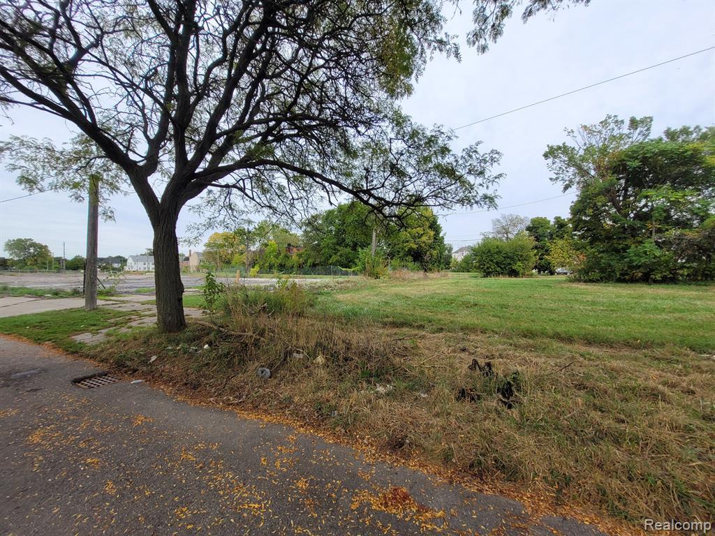 620 CANTON Street, Detroit, MI 48207 — Photo 3