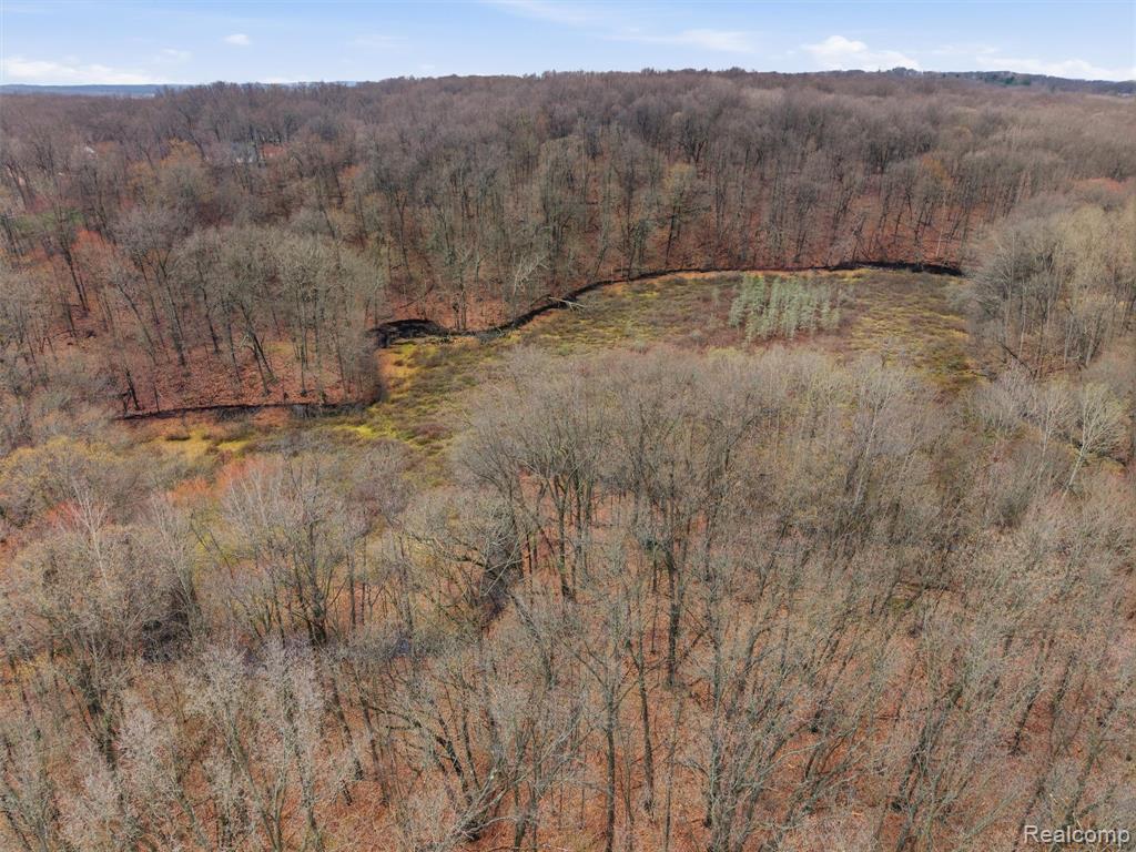 11810 Scenic Valley, Davisburg, MI 48350 — Photo 46
