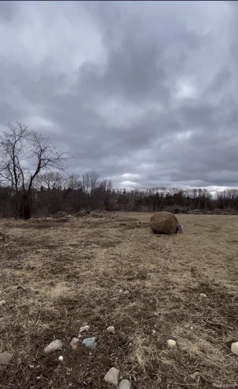 Parcel 3 S Creek Ln, Dryden, MI 48428 — Photo 3