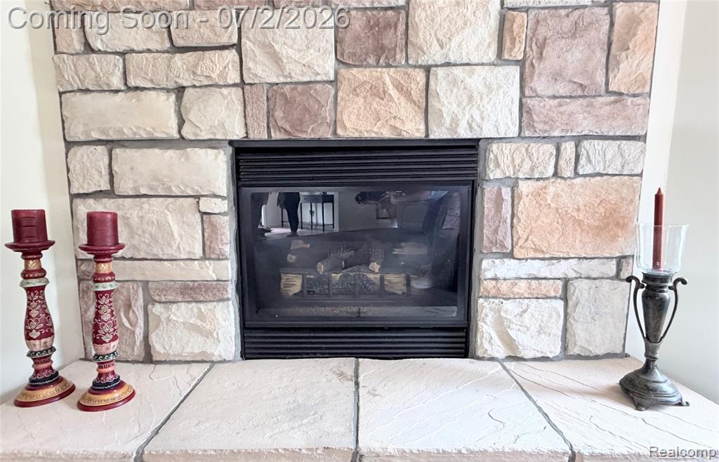 29703 Vinewood Lane, Gibraltar, MI — Photo 9