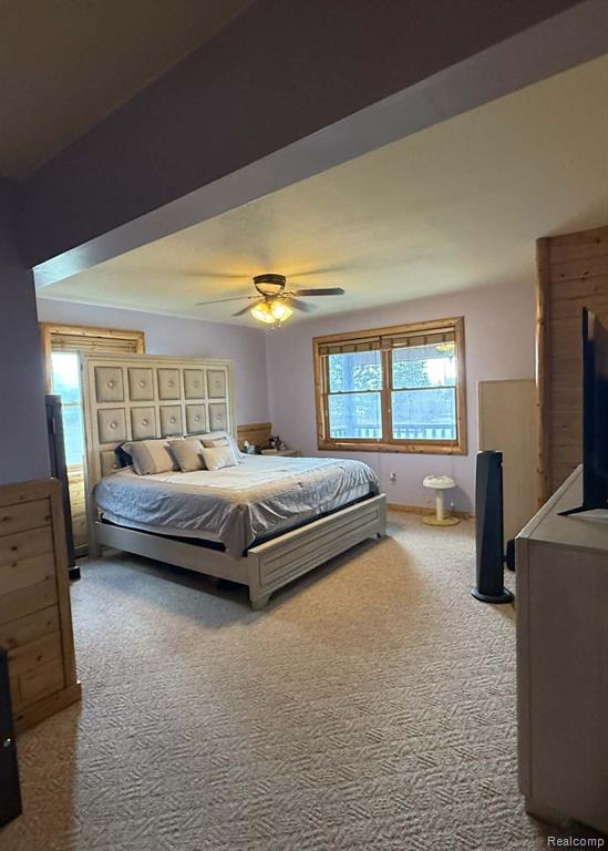 4765 Mertz, Mayville Vlg, MI 48744 — Photo 9