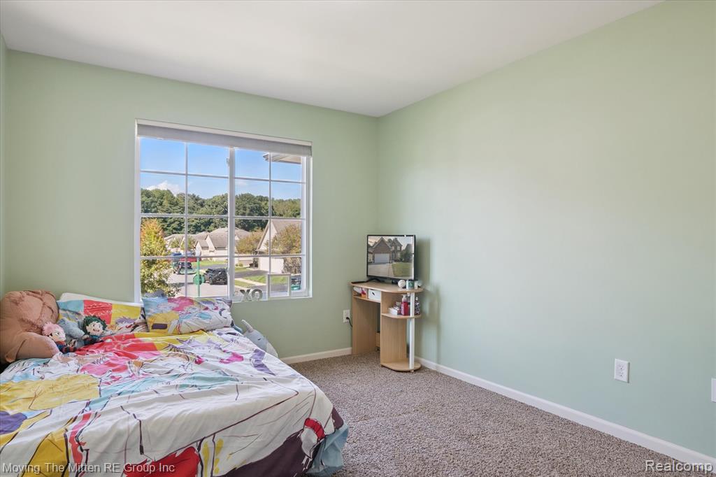 17163 Theresa Lane, New Boston, MI 48164 — Photo 29