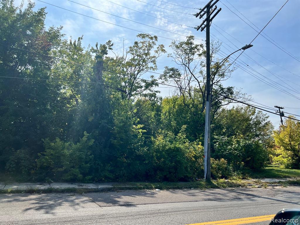 5387 BANGOR Street, Detroit, MI 48210 — Photo 3