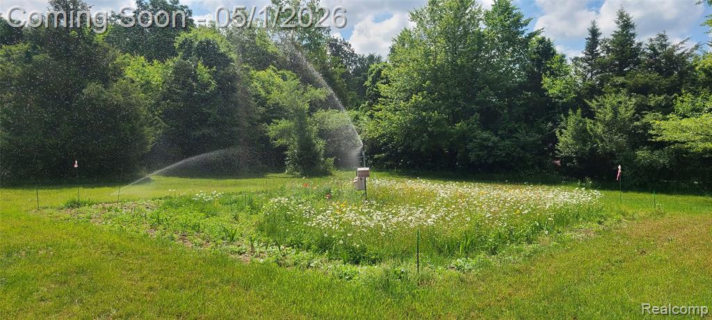 24290 Karr Road, Belleville, MI 48111 — Photo 4