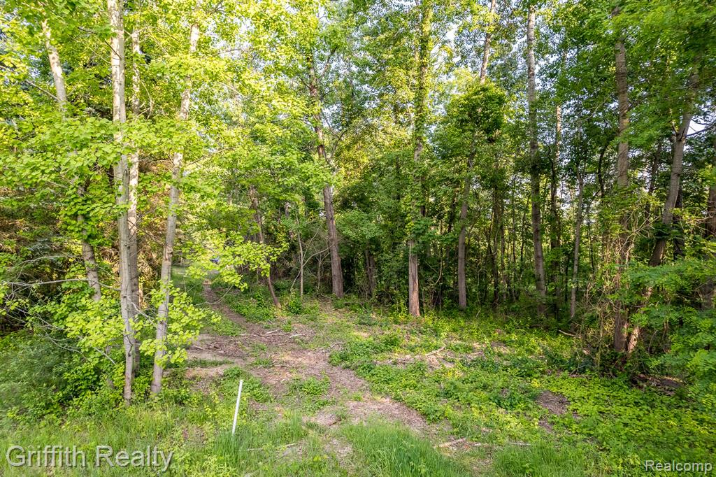 4433 Brighton Parcel D Road, Howell, MI 48843 — Photo 8