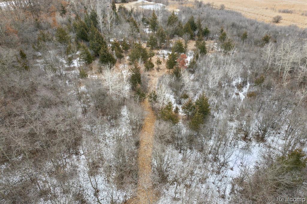 V/L BLAKE Road, Jackson, MI 49201 — Photo 49