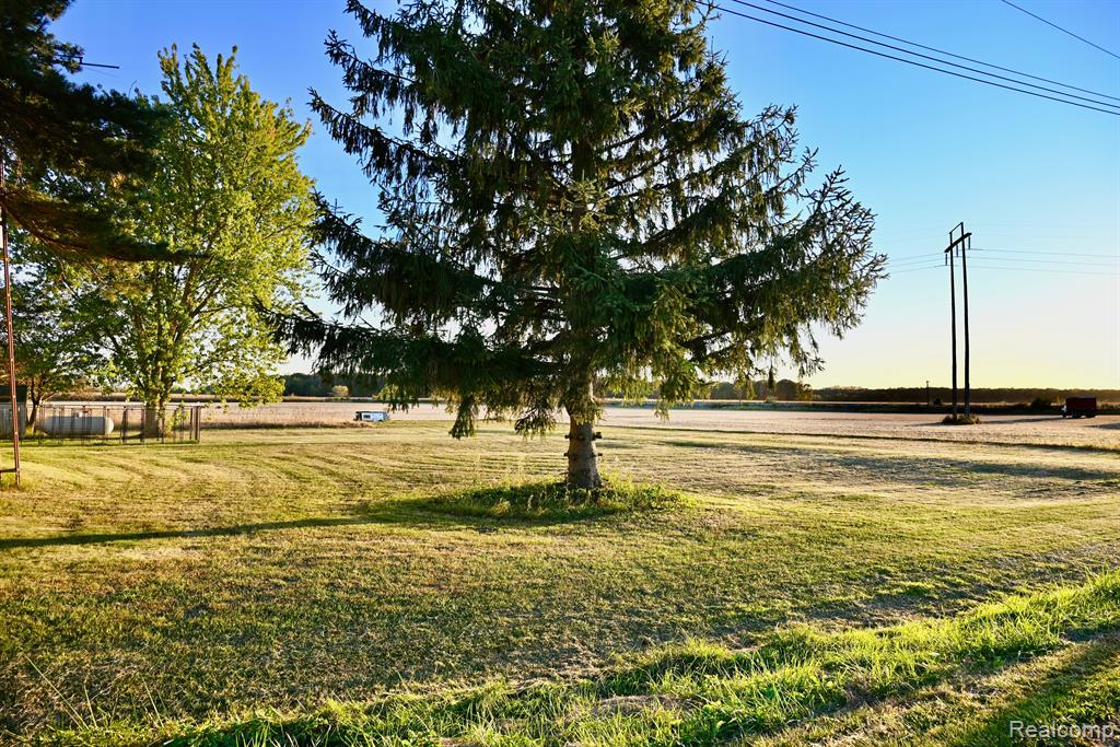 12101 TODD Road, Ida, MI 48140 — Photo 13