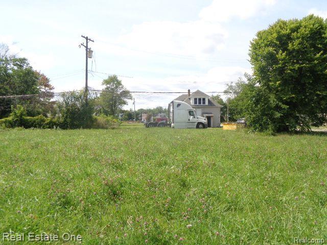 13291 SPARLING Street, Hamtramck, MI 48212 — Photo 3