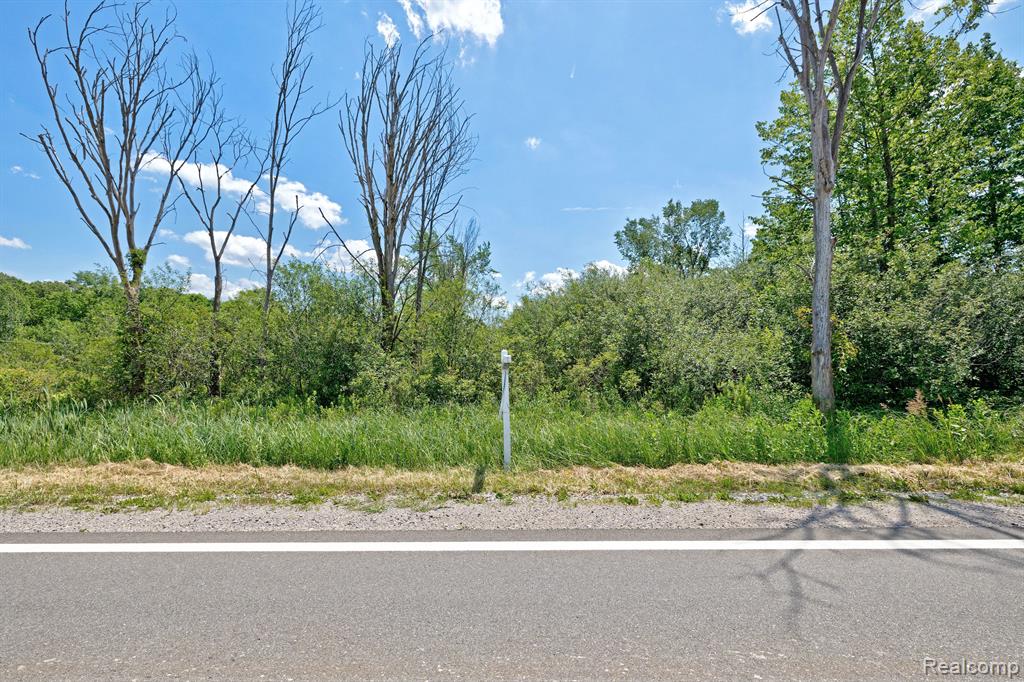 Vacant Land Brandt Road, Ortonville, MI 48462 — Photo 19