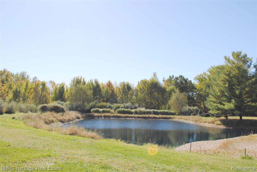 10755 Sober Road, Webberville, MI 48892 — Photo 9