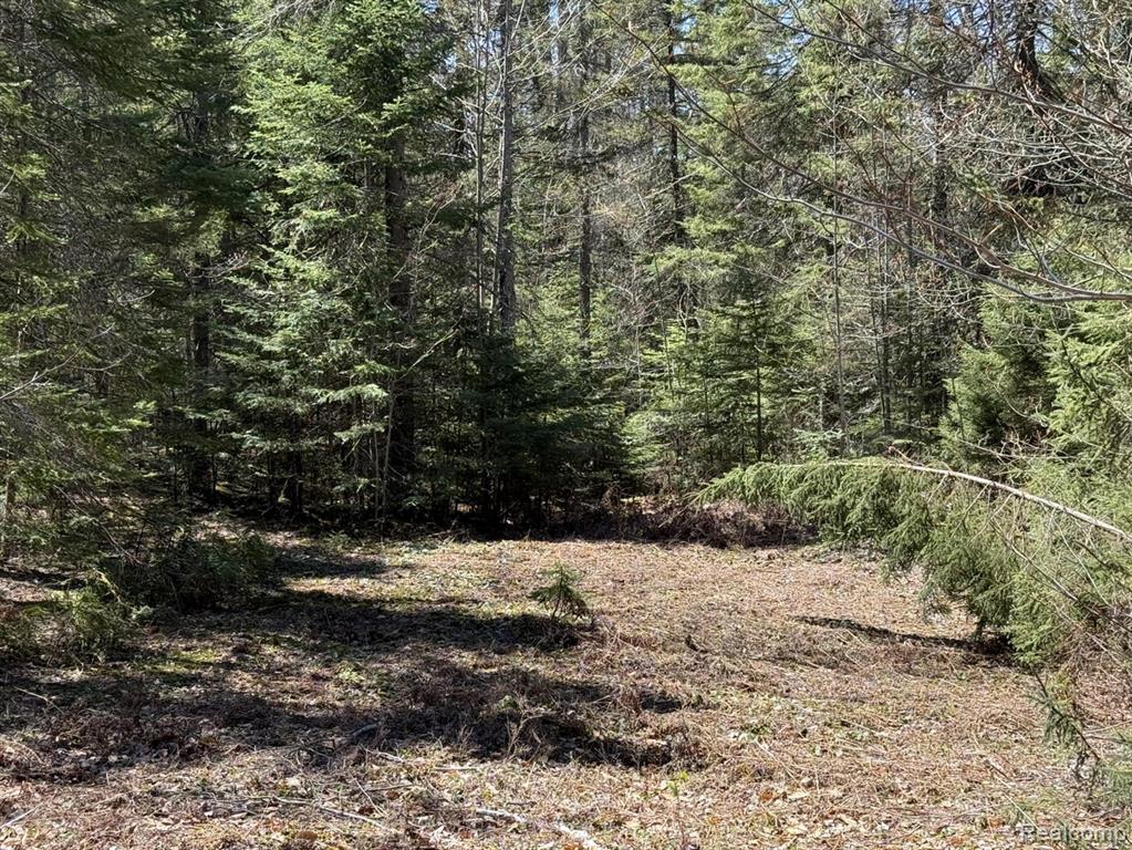 9718 W Black River Road, Naubinway, MI 49762 — Photo 16