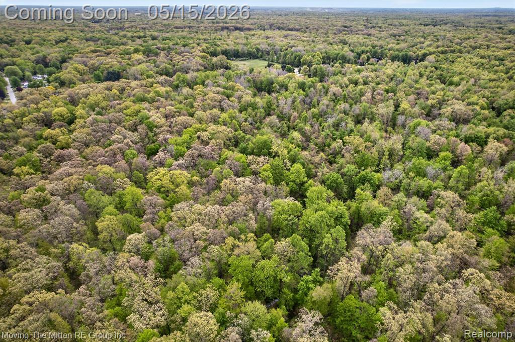 22530 Bohn Road, Belleville, MI 48111 — Photo 27