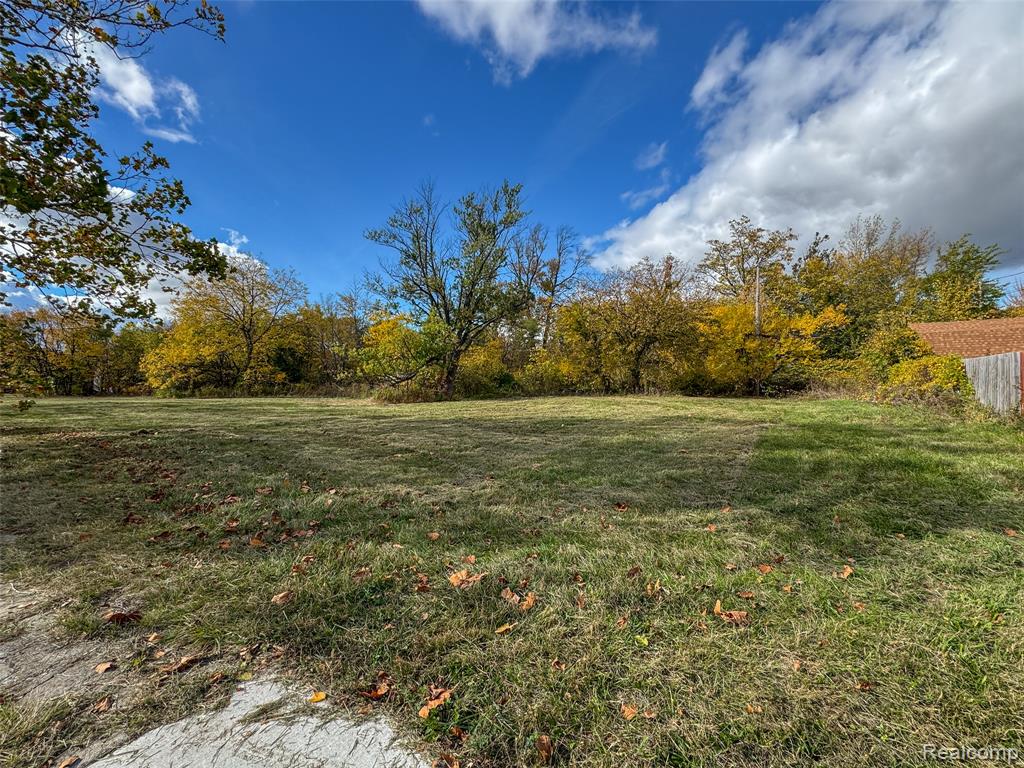 991 E Euclid Street, Detroit, MI 48211 — Photo 44