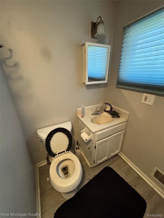 305 E Rolfe, Perry, MI 48872 — Photo 11