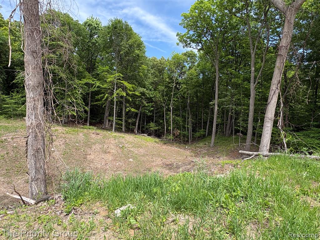 6248 E Crest Forest Court, Clarkston, MI 48348 — Photo 3