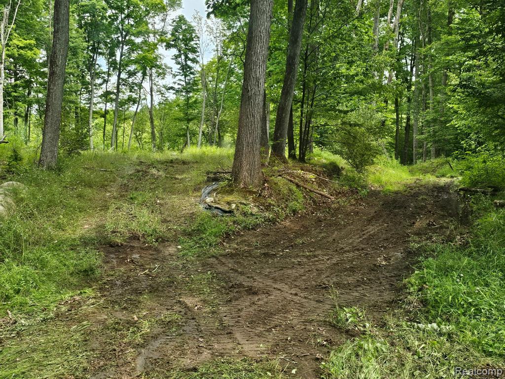 8600 Eagle Road, Holly, MI — Photo 4