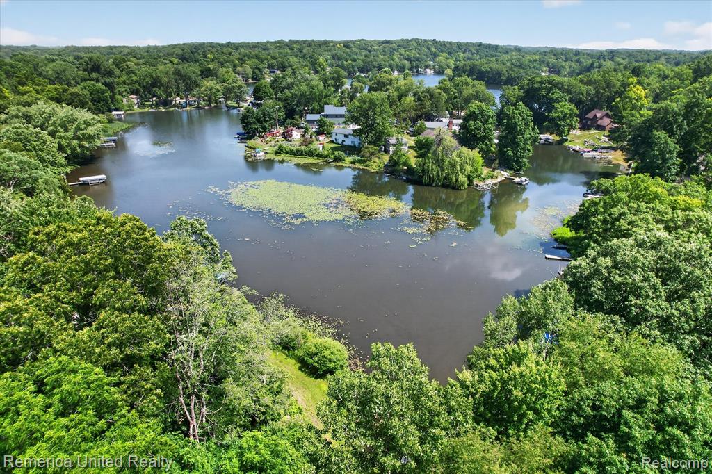 11521 Westshore Drive, Pinckney, MI 48169 — Photo 63