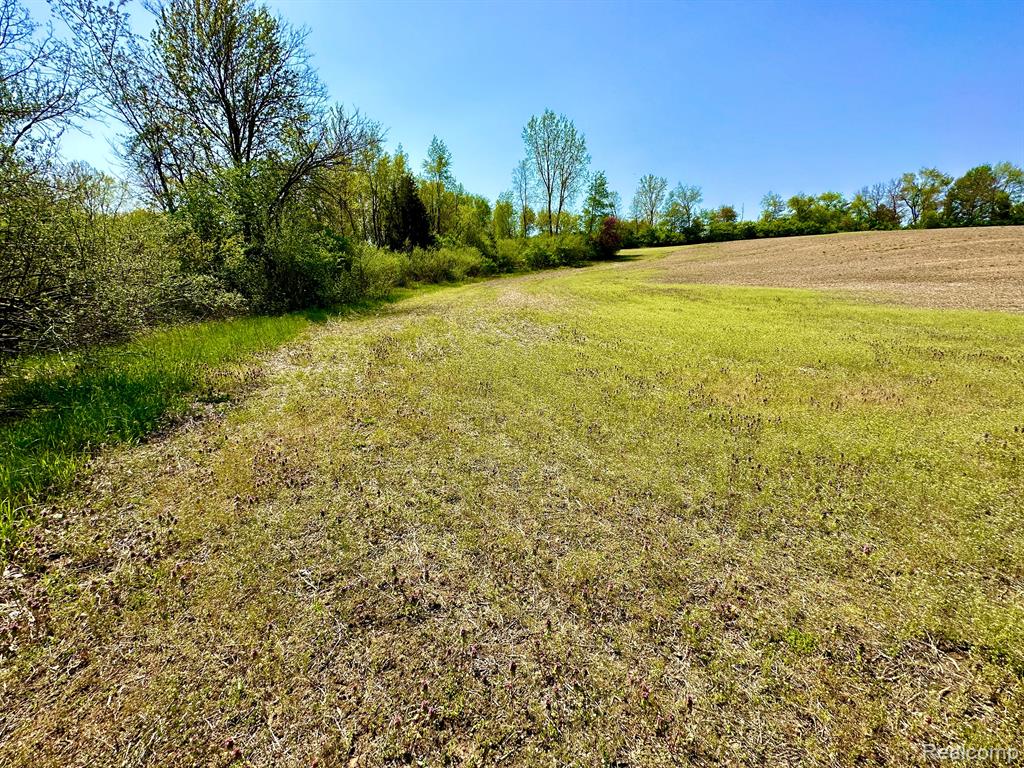 648 N JACKSON Street, Clinton, MI 49236 — Photo 18