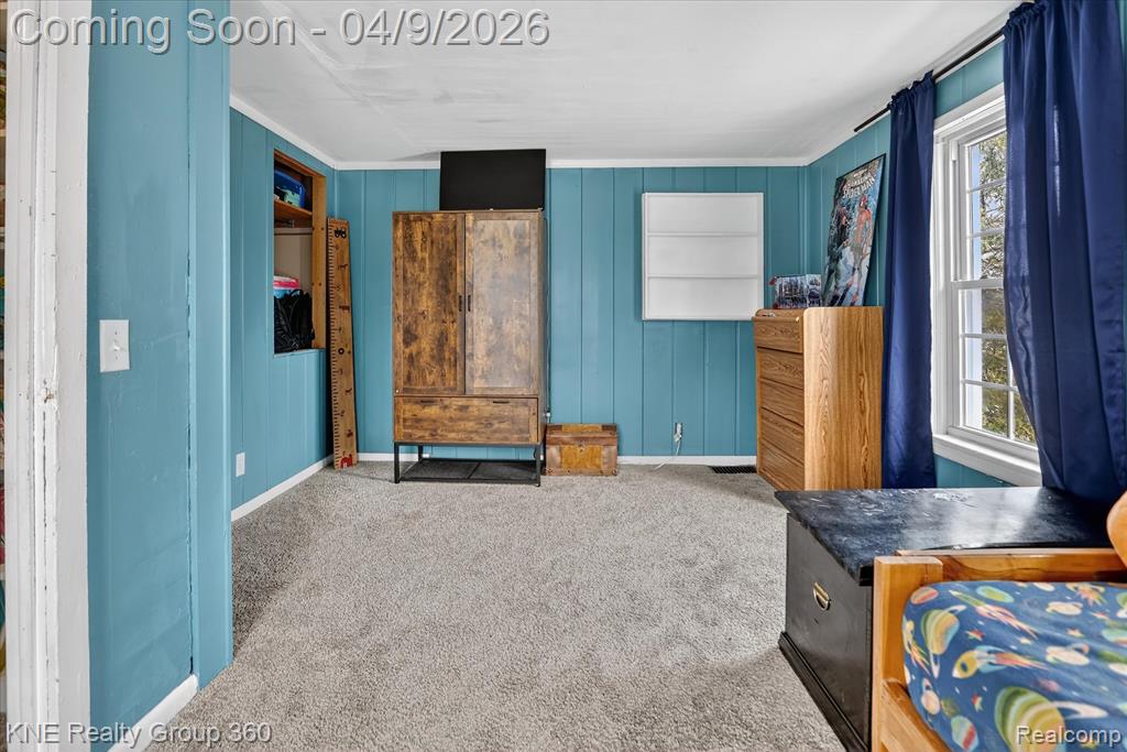 217 Maple Avenue, Alma, MI 48801 — Photo 19
