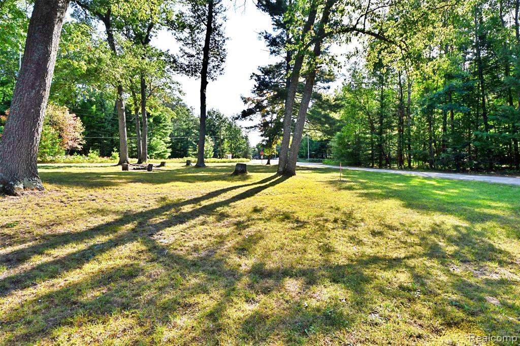 8702 Center Street, St. Helen, MI 48656 — Photo 4