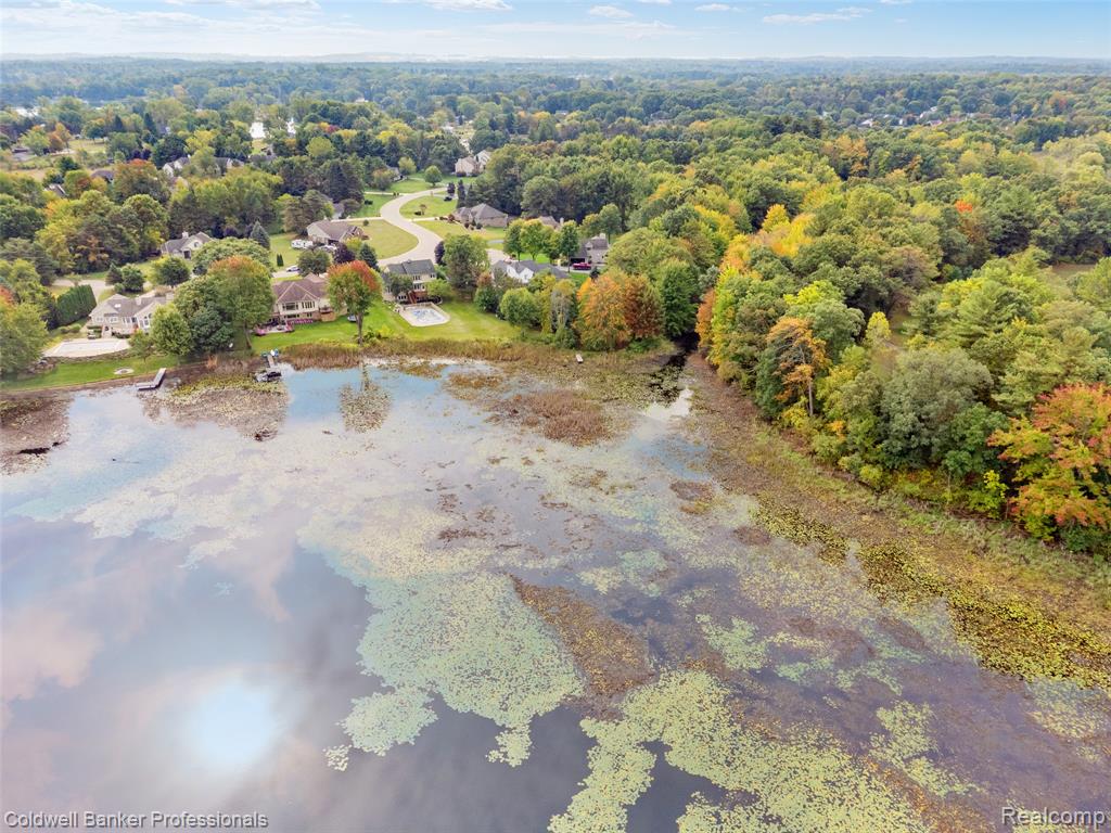 468 Orchard Ridge Drive, Lake Orion, MI 48362 — Photo 4