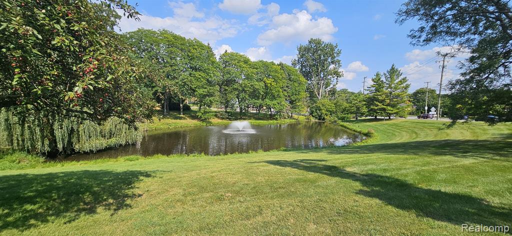 894 YORKTOWN, Northville, MI 48167 — Photo 44