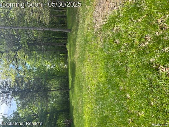 4148 Blue Vista Drive, Evart, MI 49631 — Photo 36