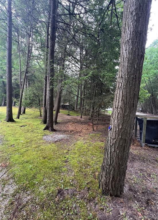 9058 W Chippewa Trail, Shelby, MI 49455 — Photo 49