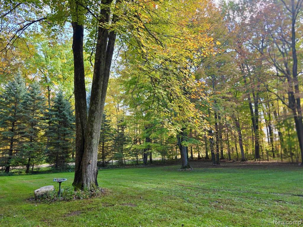 4045 Flint River Road, Columbiaville, MI 48421 — Photo 2