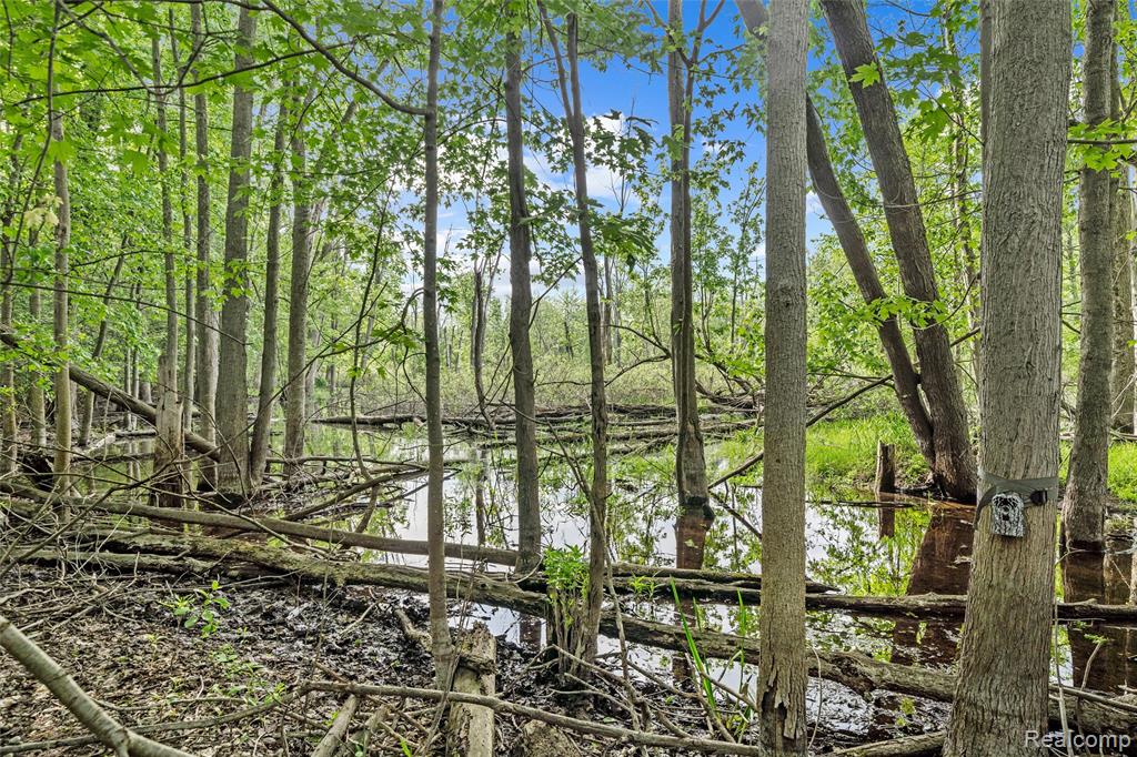 10099 Fernbrooke Drive, Brighton, MI 48116 — Photo 82