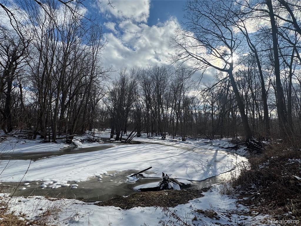 01 Remer Road, China, MI — Photo 6