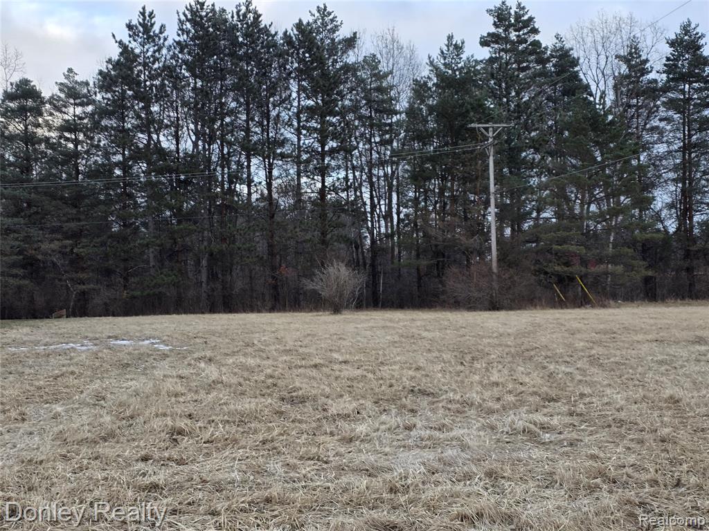 V/L Lorraine Street Street, Marlette, MI 48453 — Photo 2